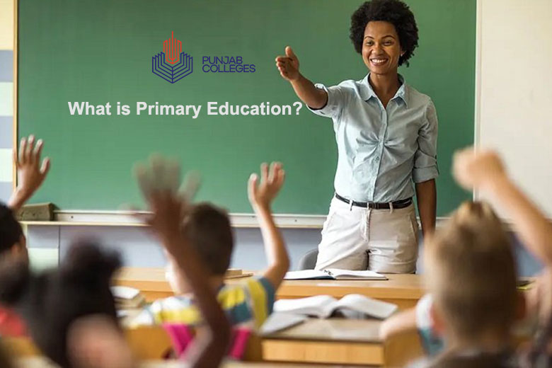 What is Primary Education?