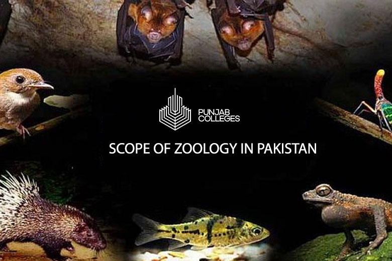 Scope of Zoology in Pakistan